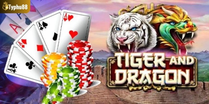 Nét chính của rồng hổ tại TYPHU88